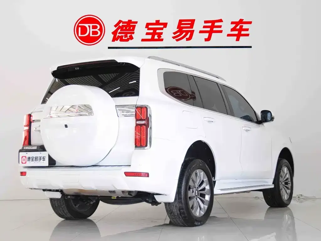 Tank 500 New Energy 2024 из CN, фото 6
