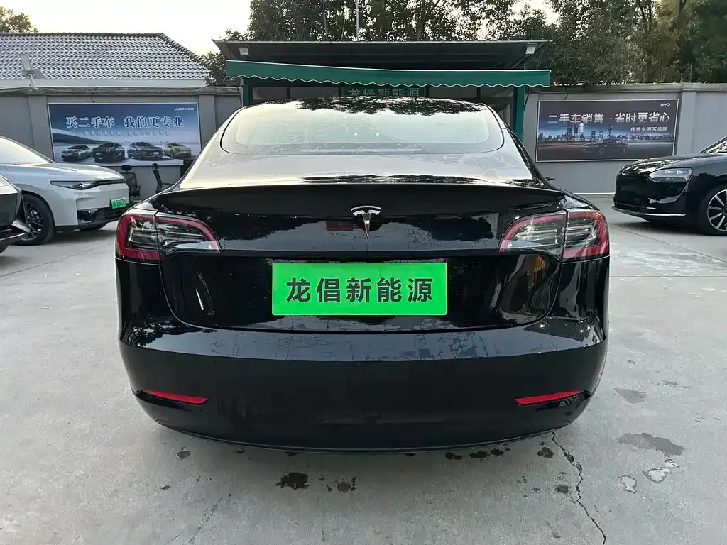 Tesla Model 3 2022 из CN, фото 4