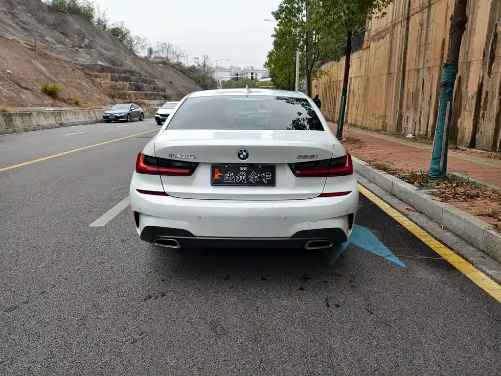BMW 3 Series 2022 из CN, фото 6