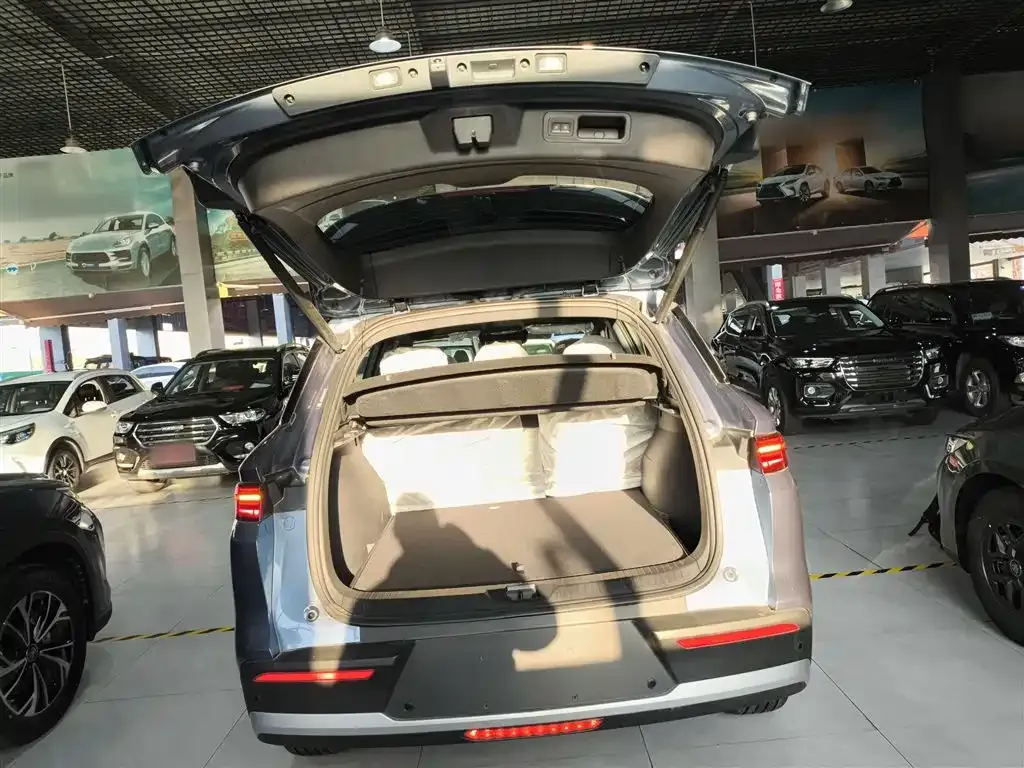 BYD Pro New Energy 2026 из CN, фото 9