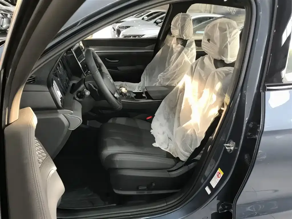 BYD Pro New Energy 2026 из CN, фото 5