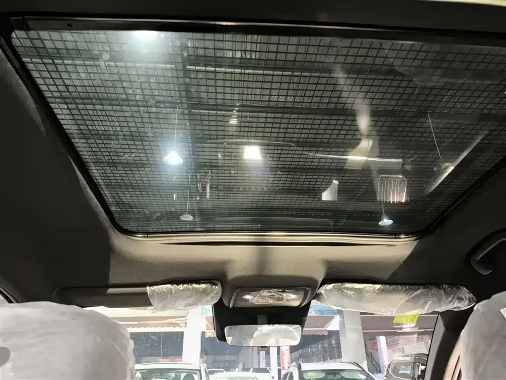 BYD Pro New Energy 2026 из CN, фото 6