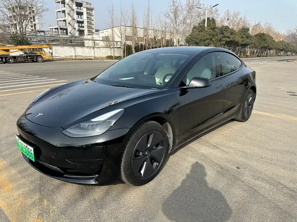 Tesla Model 3 2021 из CN, фото 1