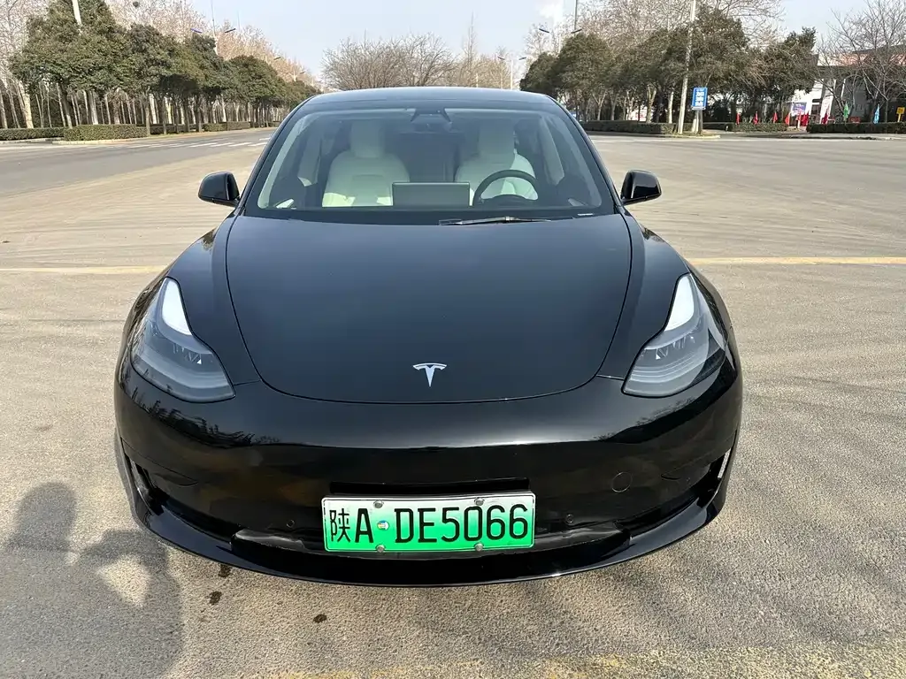 Tesla Model 3 2021 из CN, фото 7