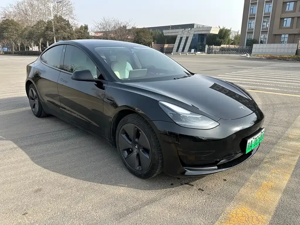 Tesla Model 3 2021 из CN, фото 4