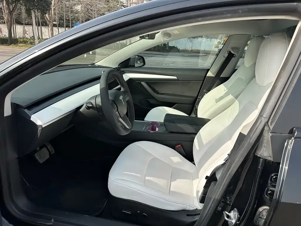 Tesla Model 3 2021 из CN, фото 2