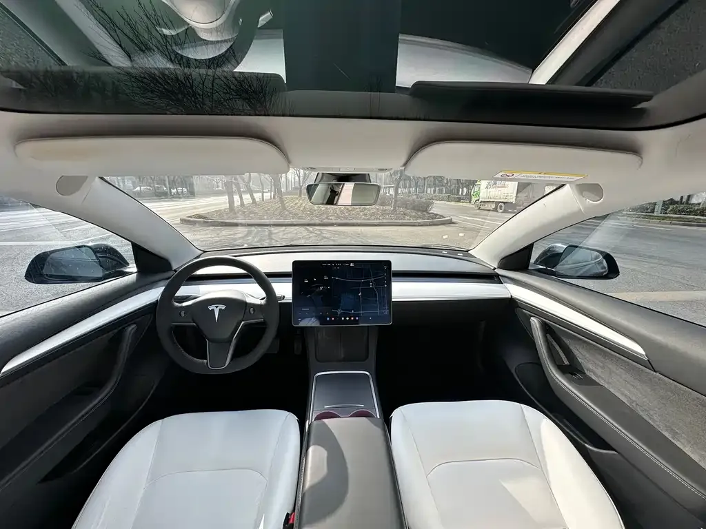 Tesla Model 3 2021 из CN, фото 3