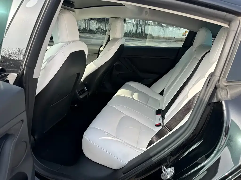 Tesla Model 3 2021 из CN, фото 8