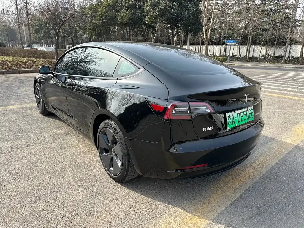 Tesla Model 3 2021 из CN, фото 6