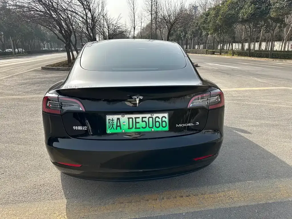 Tesla Model 3 2021 из CN, фото 5