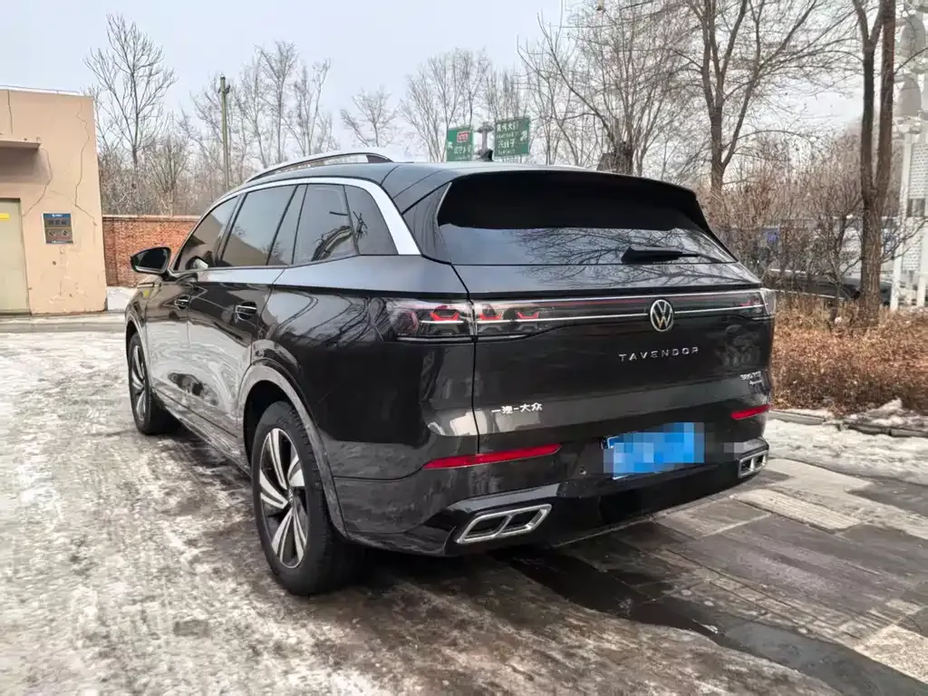 Volkswagen Tavendor 2025 из CN, фото 5