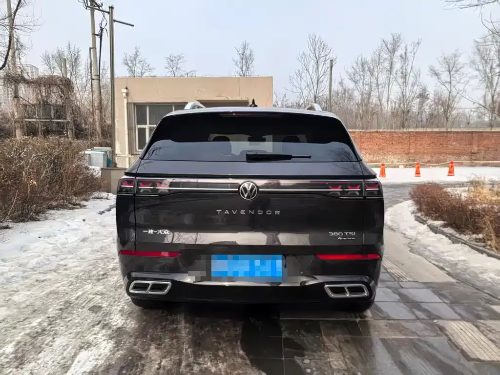 Volkswagen Tavendor 2025 из CN, фото 3