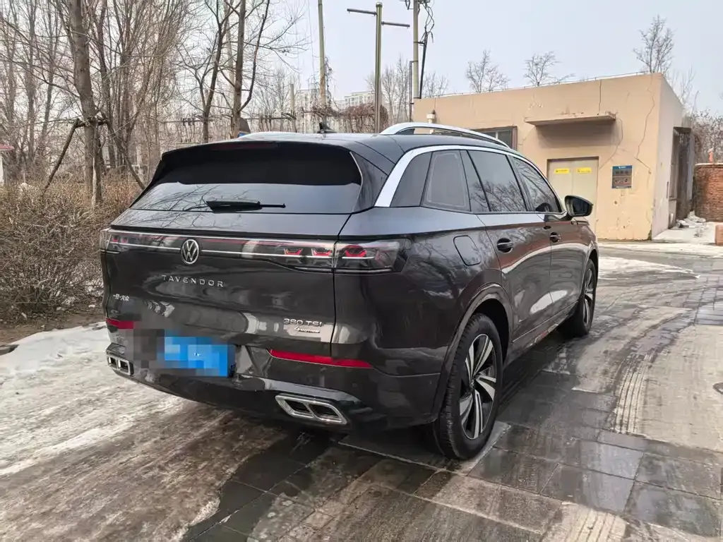 Volkswagen Tavendor 2025 из CN, фото 4