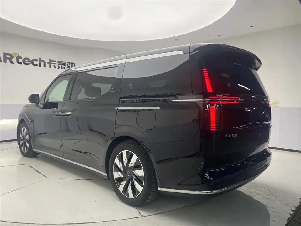Volvo EM90 2024 из CN, фото 6