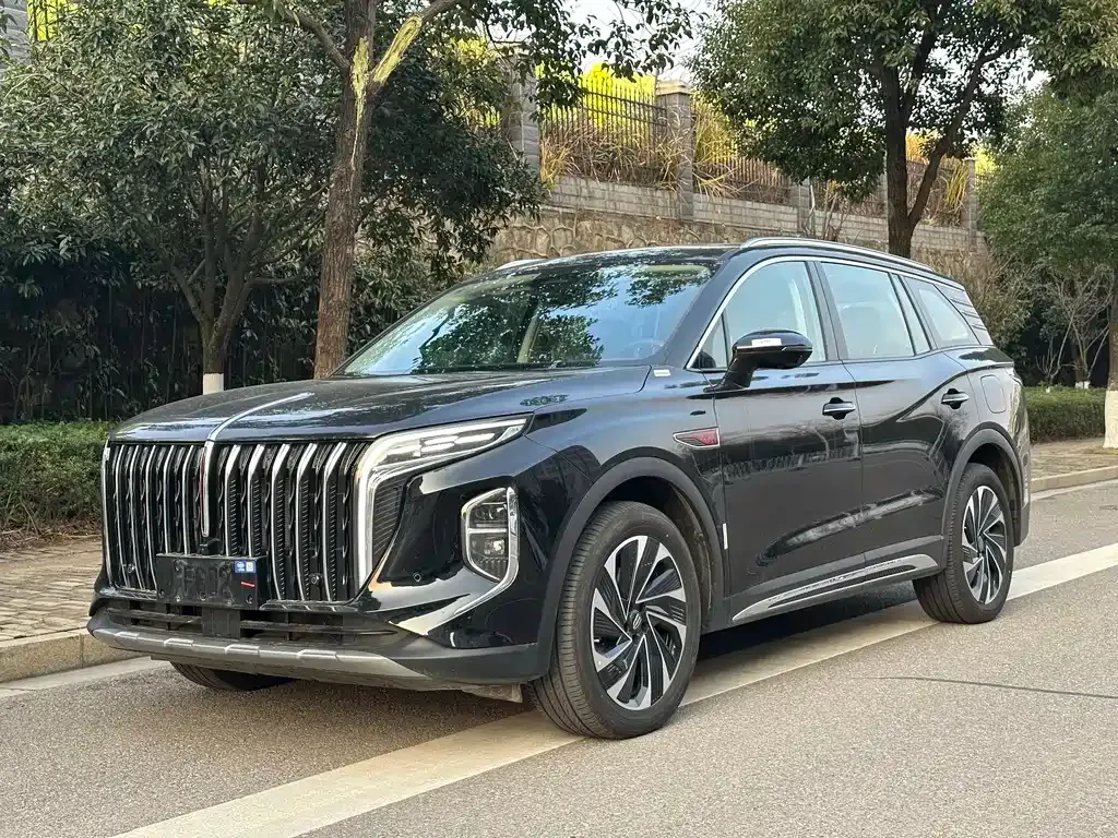 Hongqi HS7 PHEV 2024 из CN, фото 1
