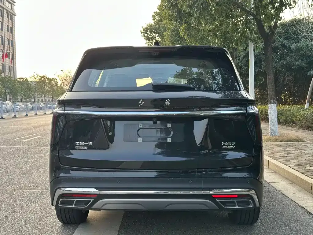 Hongqi HS7 PHEV 2024 из CN, фото 4
