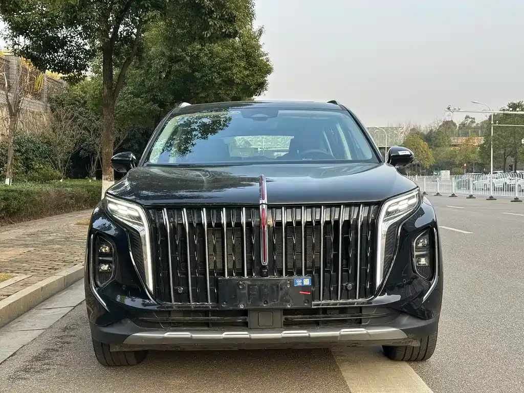 Hongqi HS7 PHEV 2024 из CN, фото 5