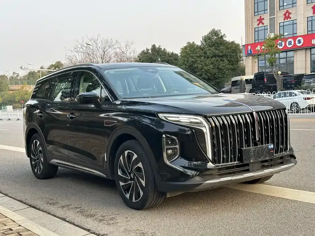 Hongqi HS7 PHEV 2024 из CN, фото 9
