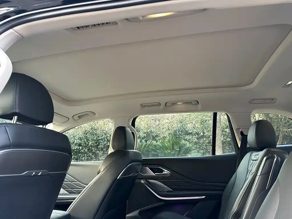 Hongqi HS7 PHEV 2024 из CN, фото 3