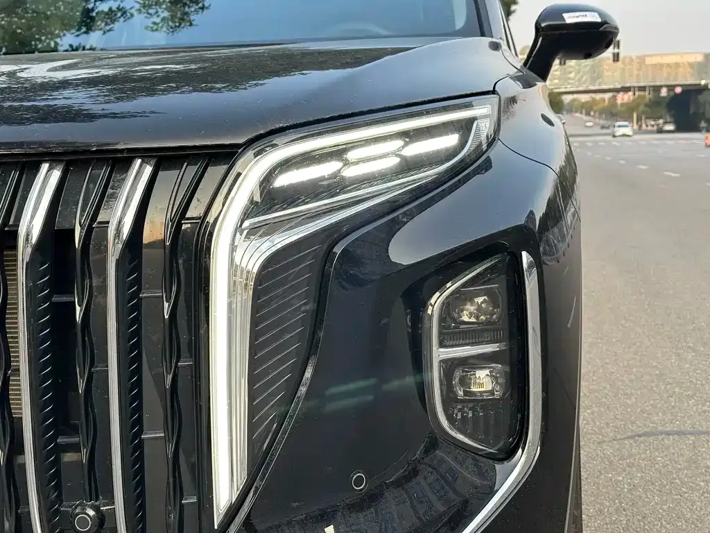 Hongqi HS7 PHEV 2024 из CN, фото 7