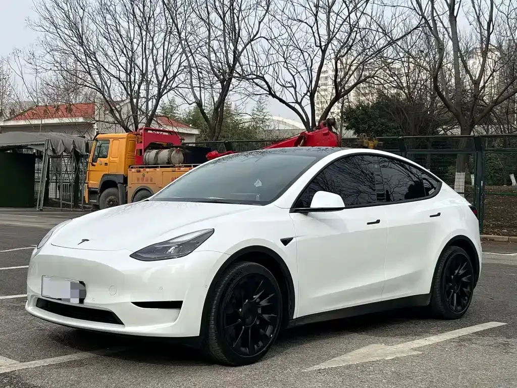 Tesla Model Y — фото 1