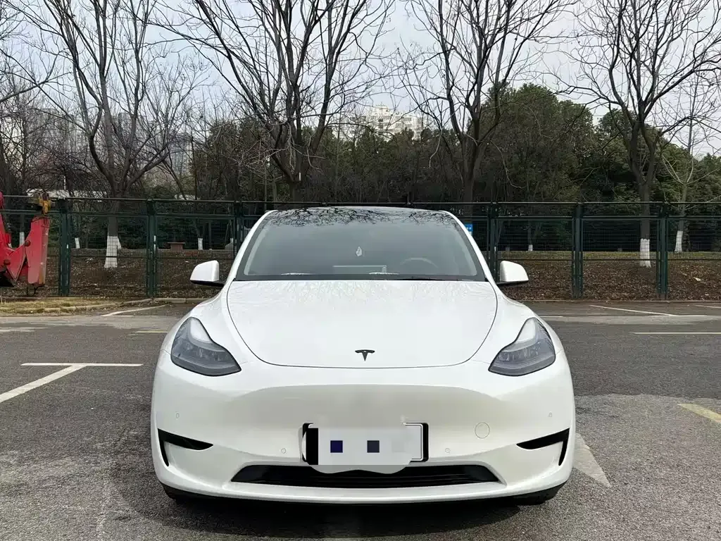 Tesla Model Y — фото 2