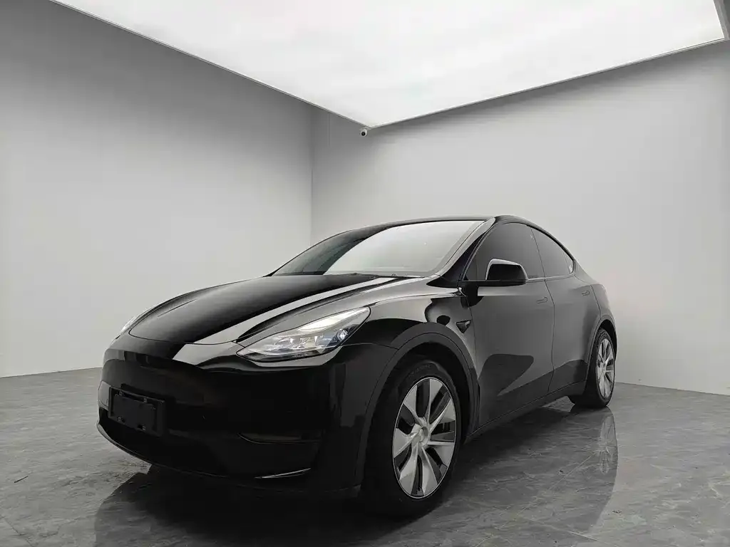 Tesla Model Y 2021 из CN, фото 1