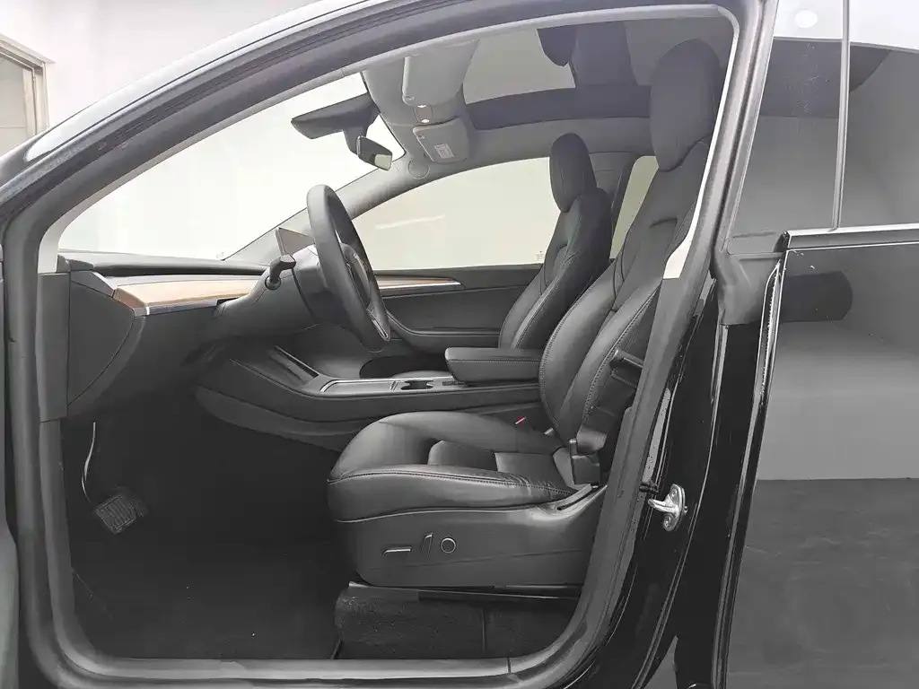 Tesla Model Y 2021 из CN, фото 7