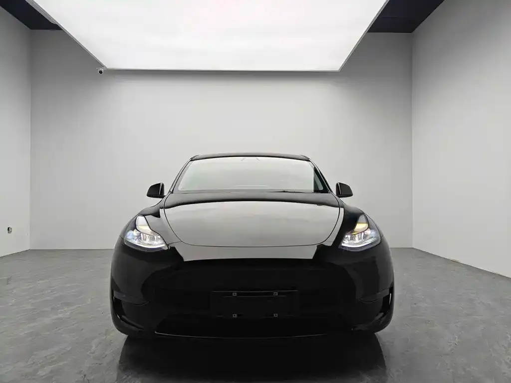 Tesla Model Y 2021 из CN, фото 2