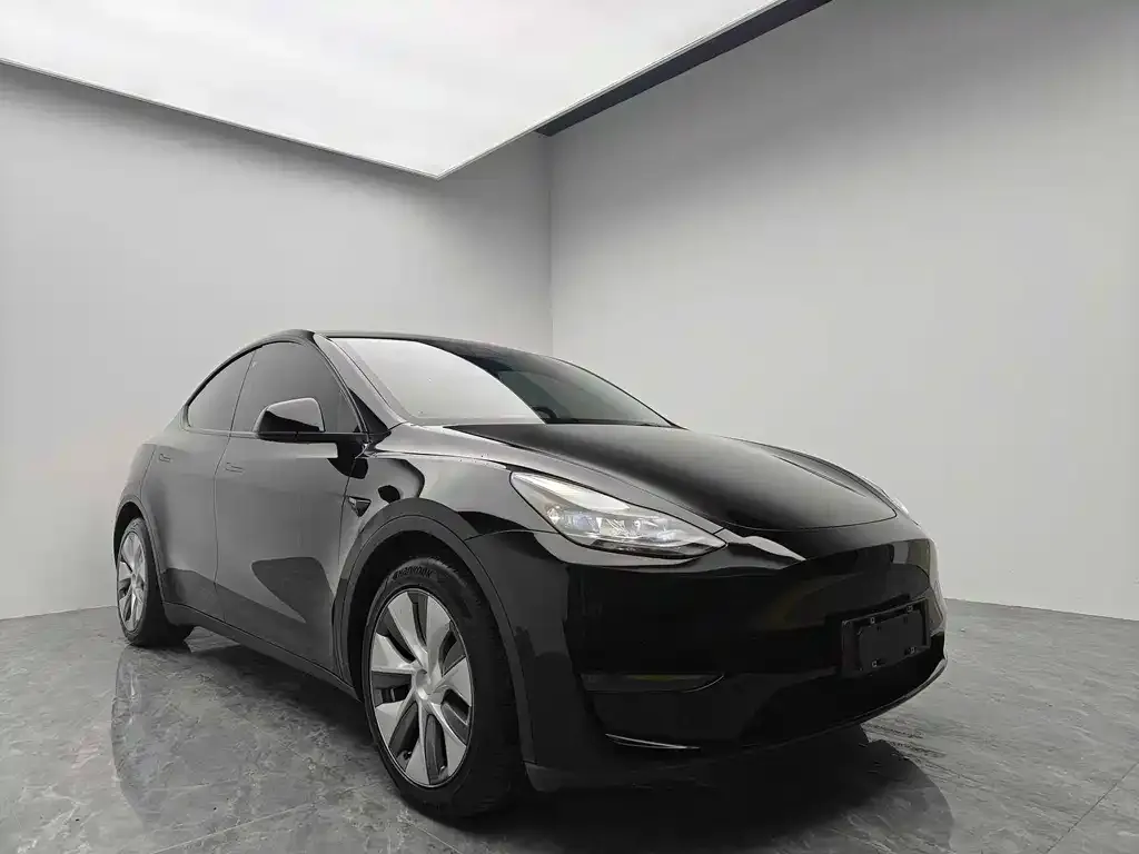 Tesla Model Y 2021 из CN, фото 3