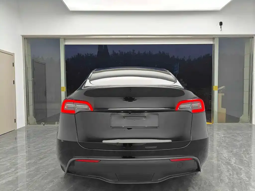 Tesla Model Y 2021 из CN, фото 6