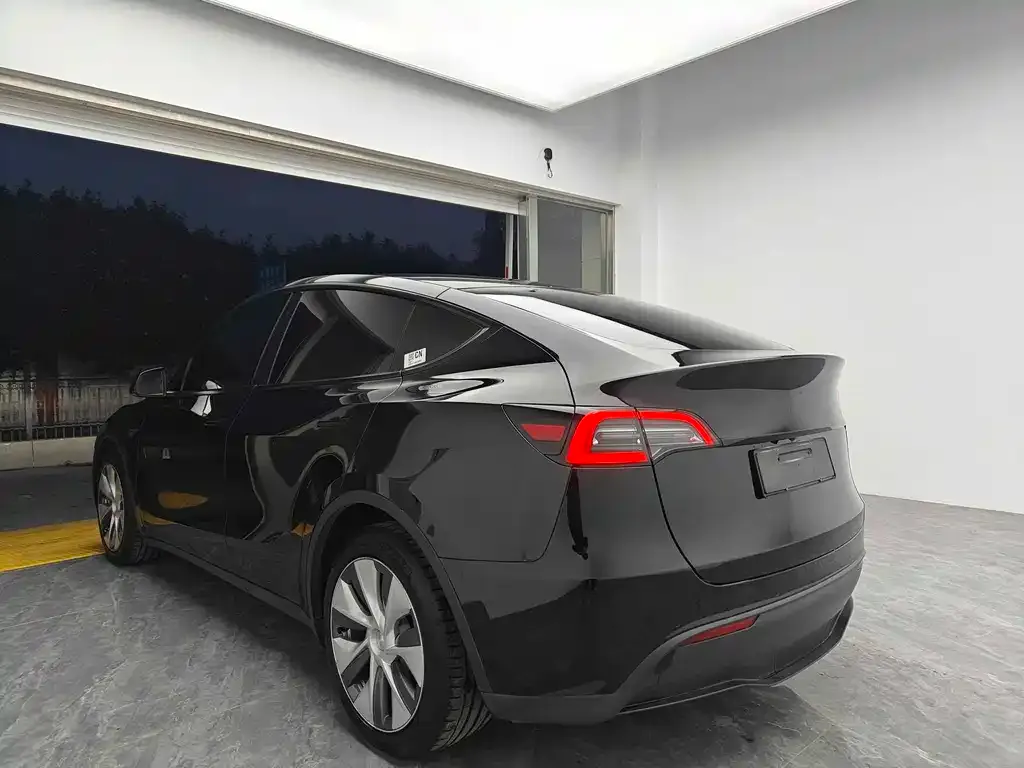 Tesla Model Y 2021 из CN, фото 8