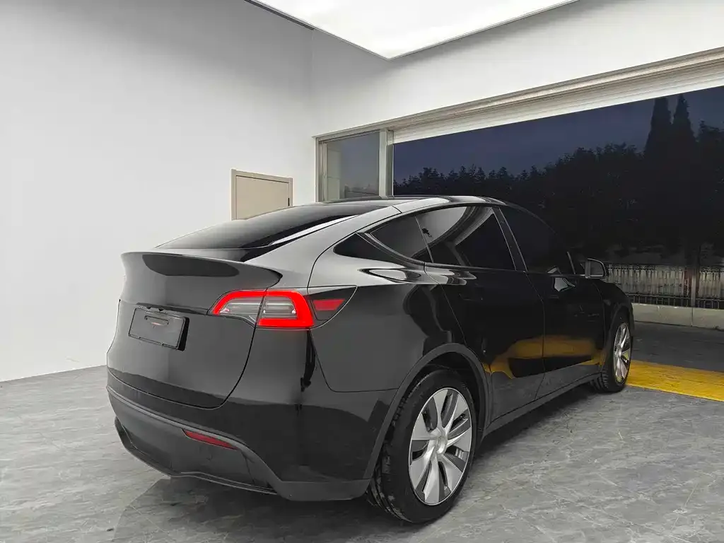 Tesla Model Y 2021 из CN, фото 9
