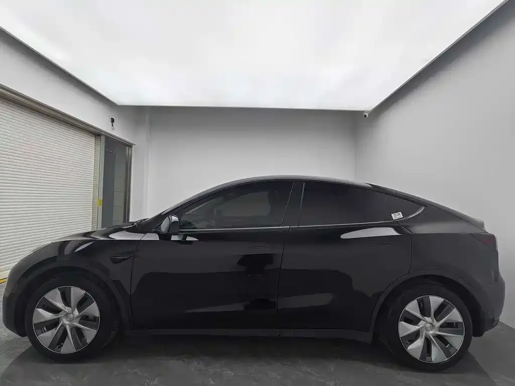 Tesla Model Y 2021 из CN, фото 5