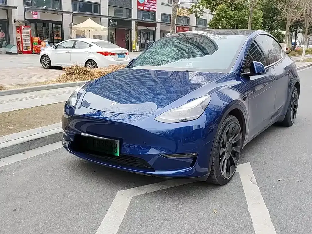 Tesla Model Y 2021 из CN, фото 1