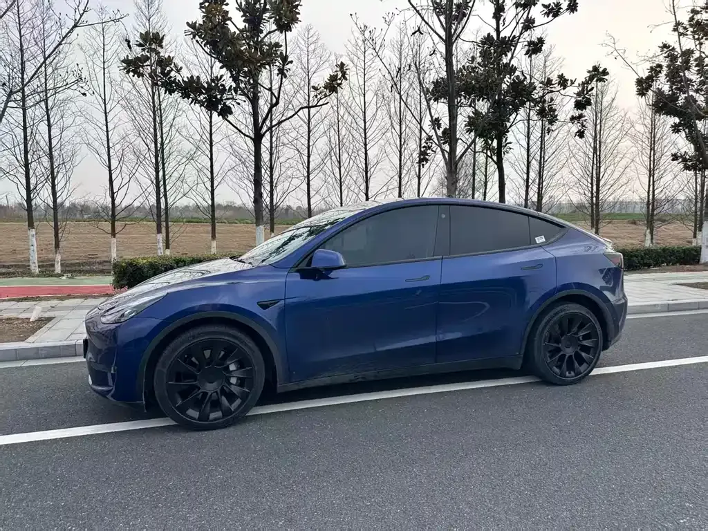 Tesla Model Y 2021 из CN, фото 8