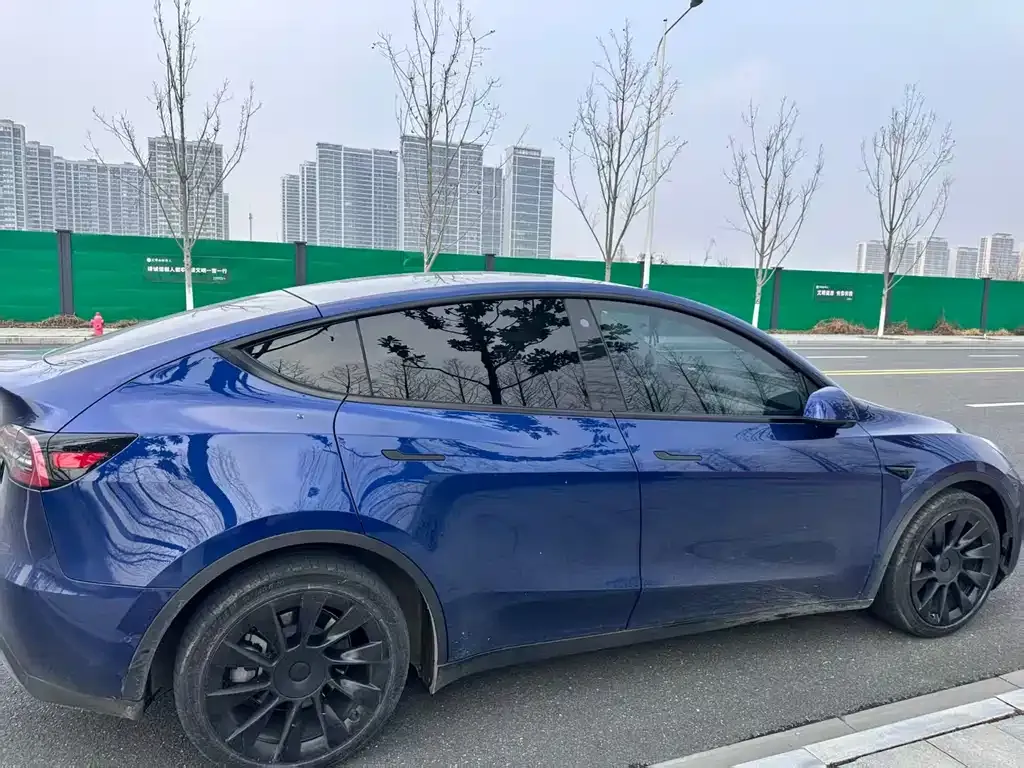 Tesla Model Y 2021 из CN, фото 9