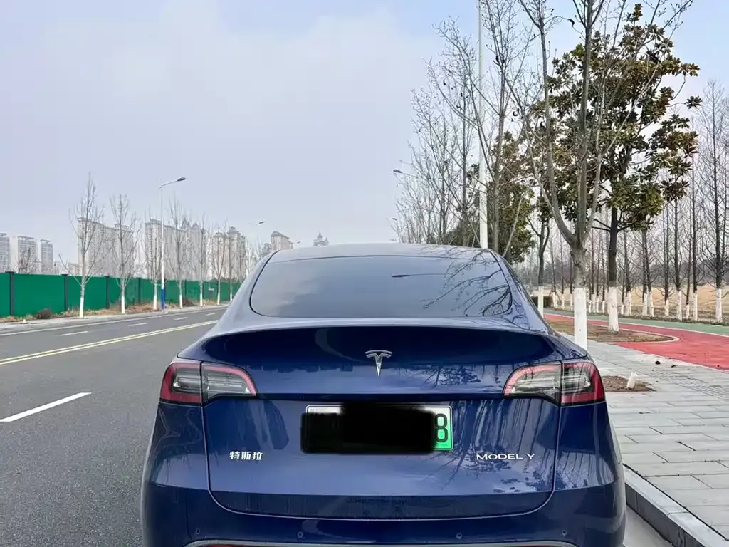 Tesla Model Y 2021 из CN, фото 7