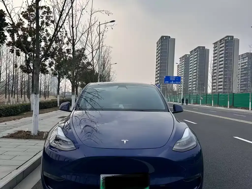 Tesla Model Y 2021 из CN, фото 6
