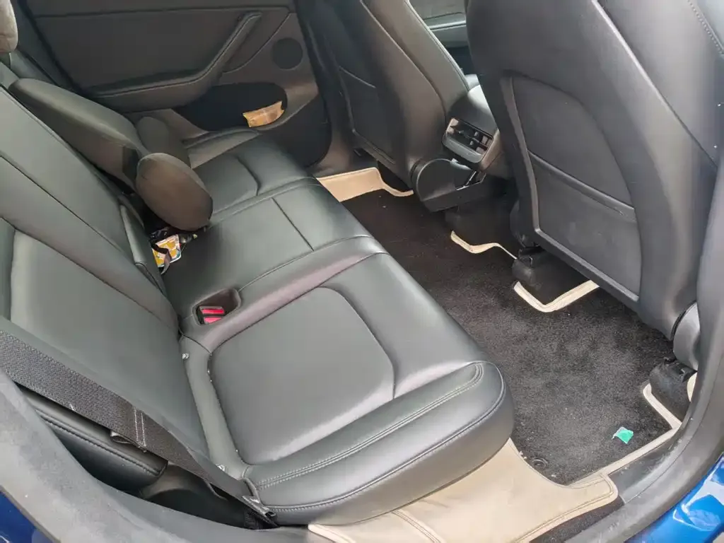 Tesla Model Y 2021 из CN, фото 3