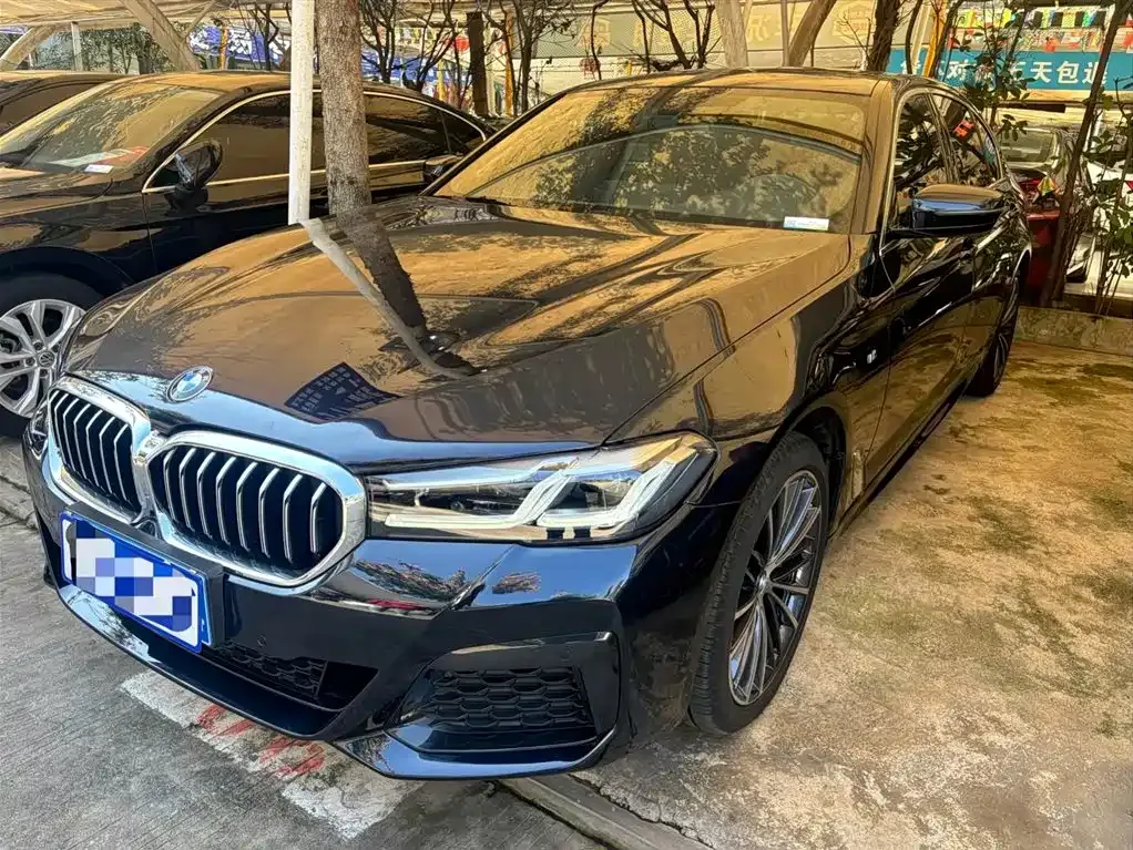 BMW 5 Series 2021 из CN, фото 1
