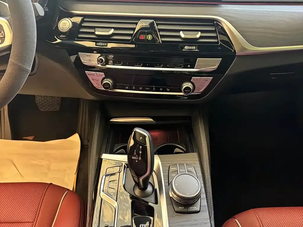 BMW 5 Series 2021 из CN, фото 9