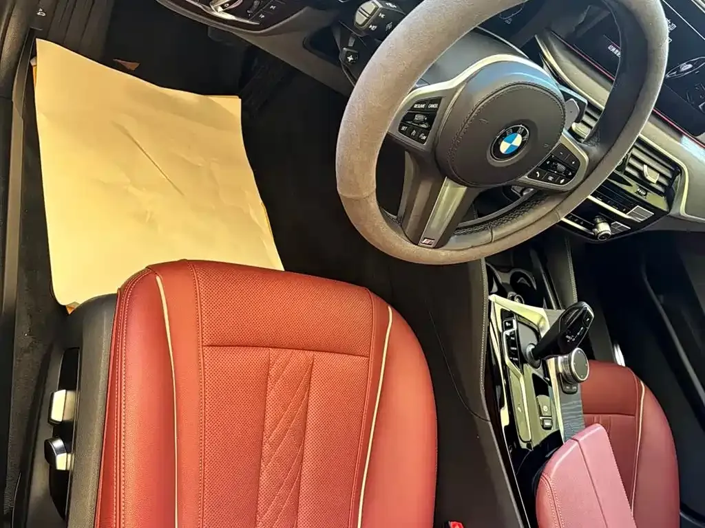 BMW 5 Series 2021 из CN, фото 4