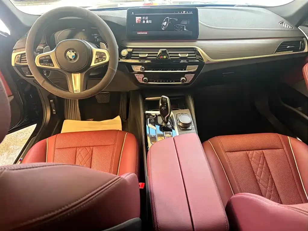 BMW 5 Series 2021 из CN, фото 7