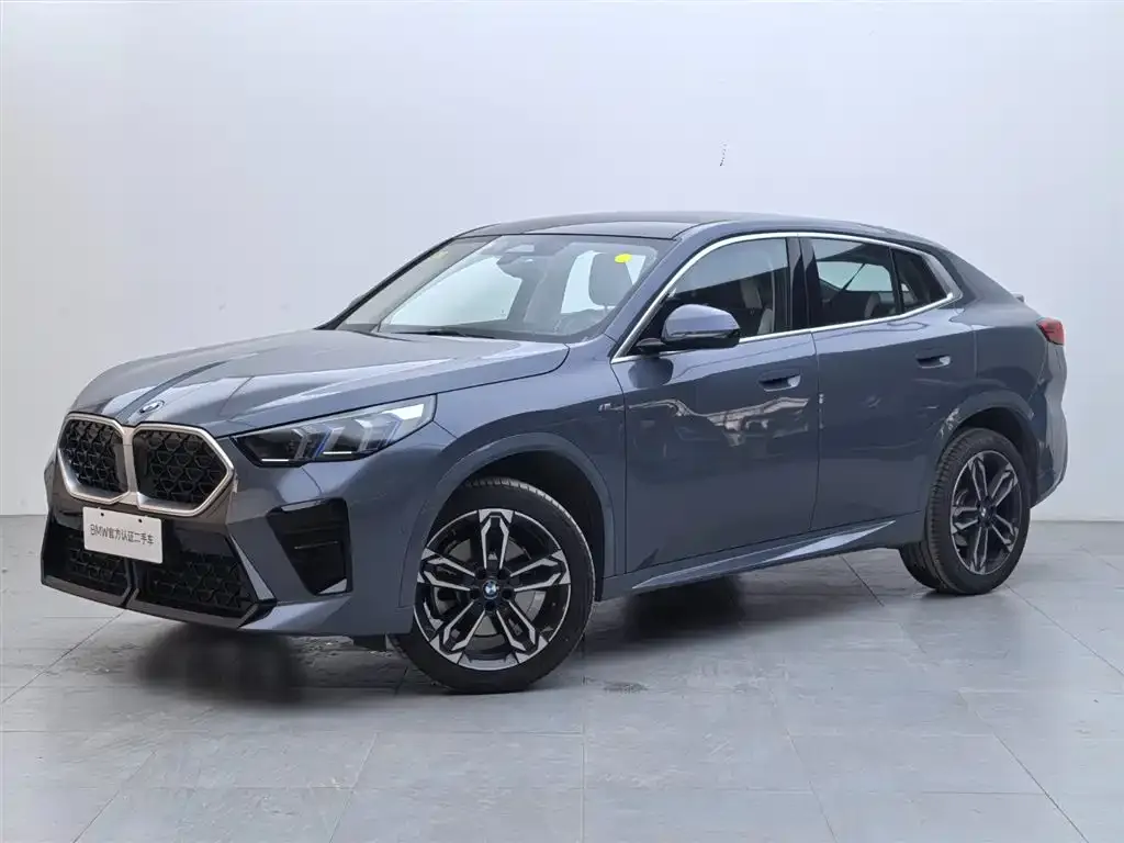 BMW X2 (Import) — фото 1