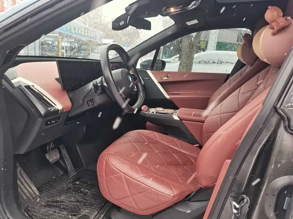 BMW iX 2022 из CN, фото 7
