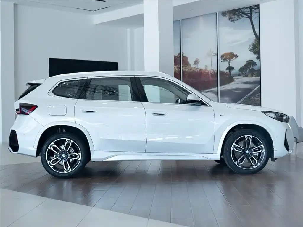 BMW X1 2025 из CN, фото 4