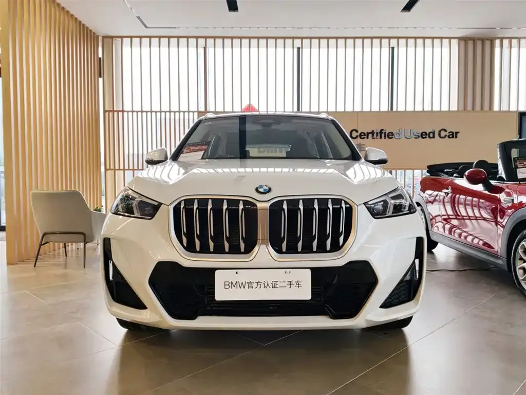 BMW X1 — фото 10