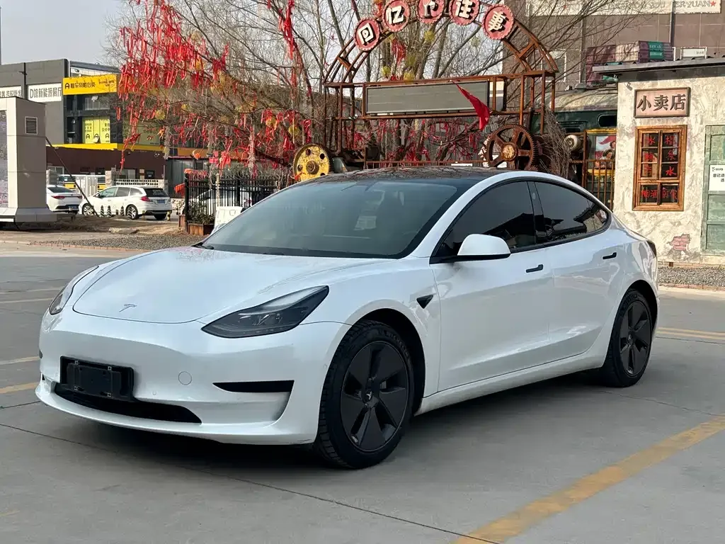 Tesla Model 3 2021 из CN, фото 1