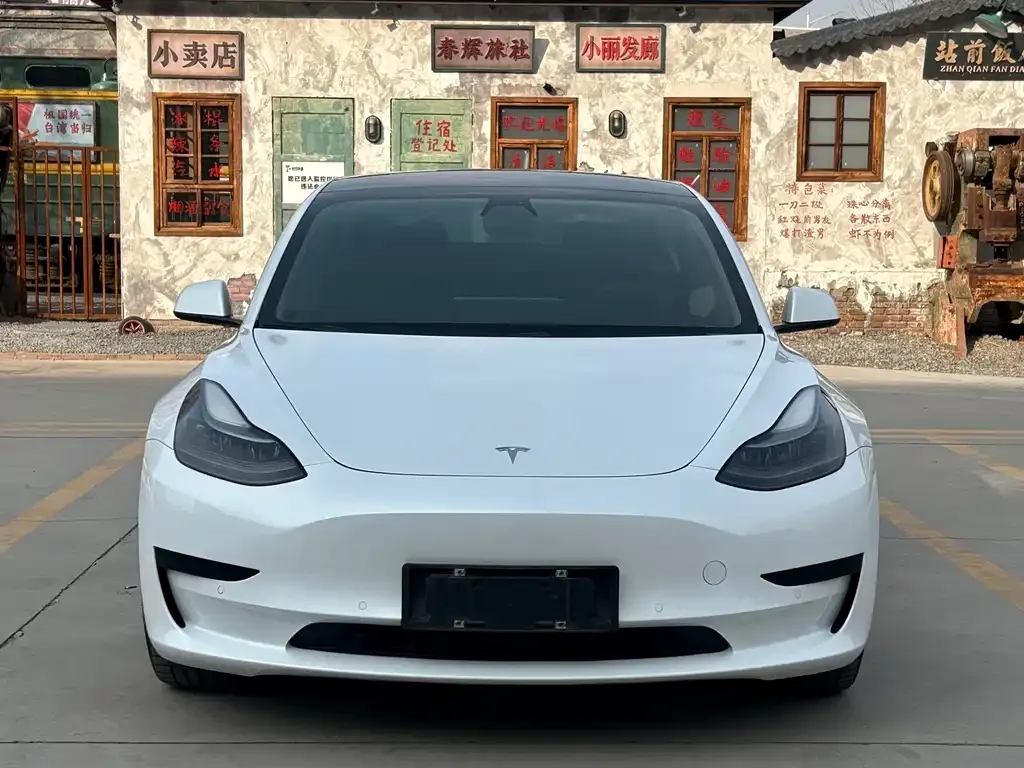 Tesla Model 3 2021 из CN, фото 9